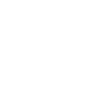 Afri Profit AI - Improved Protection through Cryptographic Techniques